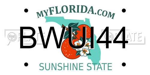 BWUI44 Florida License Plate