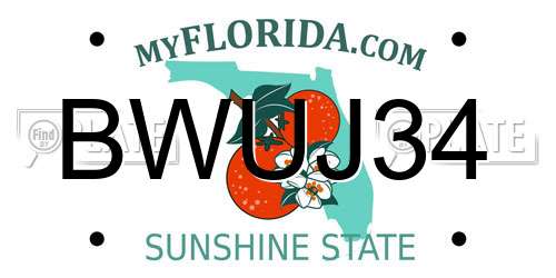 BWUJ34 Florida License Plate