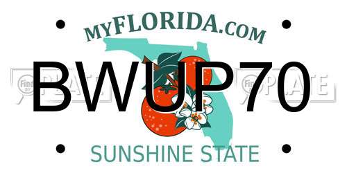 BWUP70 Florida License Plate
