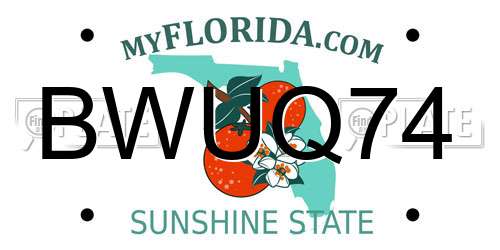 BWUQ74 Florida License Plate