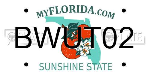 BWUT02 Florida License Plate