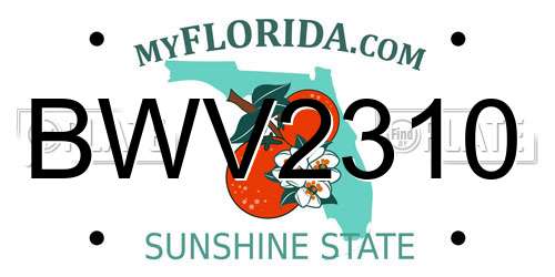BWV2310 Florida License Plate