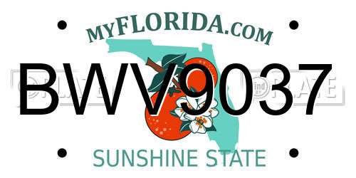 BWV9037 Florida License Plate