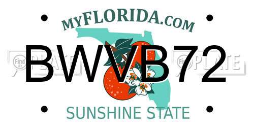 BWVB72 Florida License Plate
