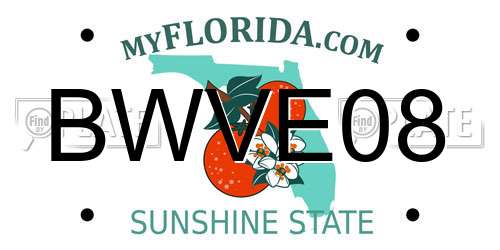 BWVE08 Florida License Plate