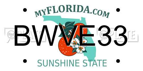 BWVE33 Florida License Plate