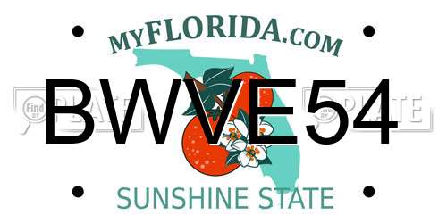 BWVE54 Florida License Plate