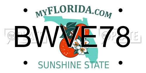 BWVE78 Florida License Plate