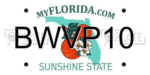 BWVP10 Florida License Plate