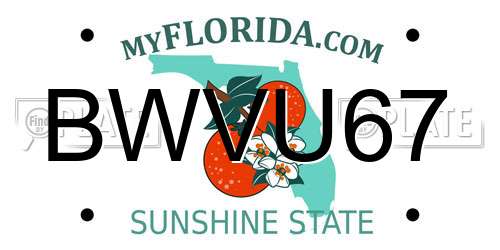 BWVU67 Florida License Plate