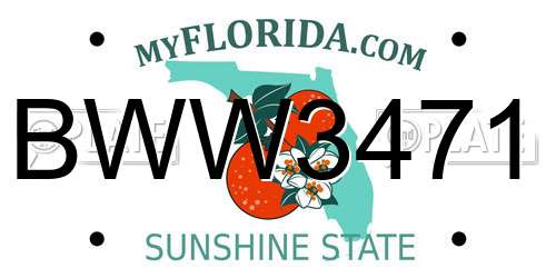 BWW3471 Florida License Plate