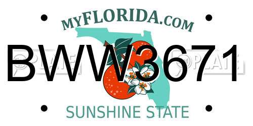 BWW3671 Florida License Plate