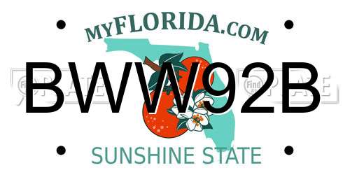 BWW92B Florida License Plate