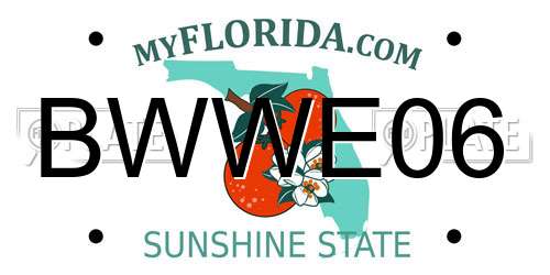 BWWE06 Florida License Plate