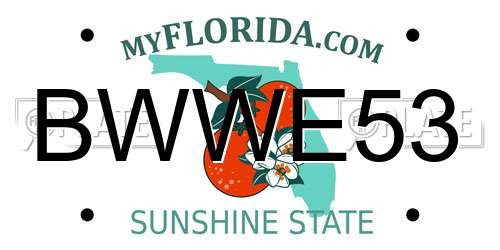 BWWE53 Florida License Plate