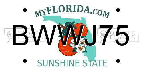 BWWJ75 Florida License Plate