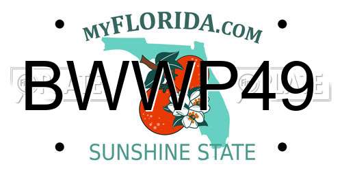 BWWP49 Florida License Plate