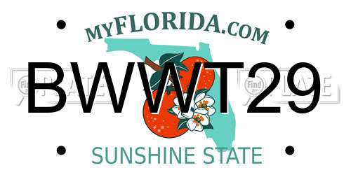 BWWT29 Florida License Plate