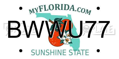 BWWU77 Florida License Plate