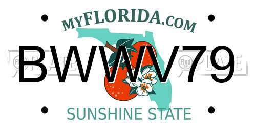BWWV79 Florida License Plate