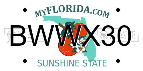 BWWX30 Florida License Plate