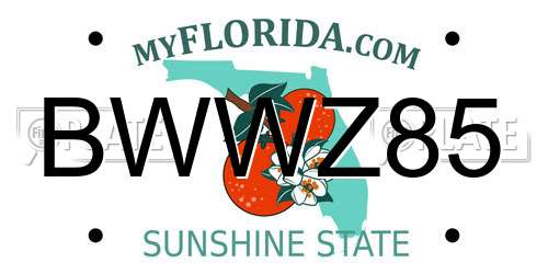 BWWZ85 Florida License Plate