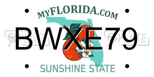 BWXE79 Florida License Plate