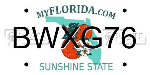 BWXG76 Florida License Plate