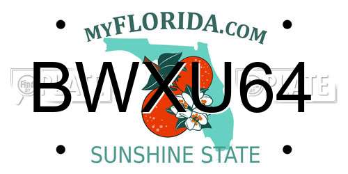BWXU64 Florida License Plate