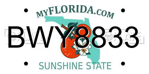 BWY8833 Florida License Plate