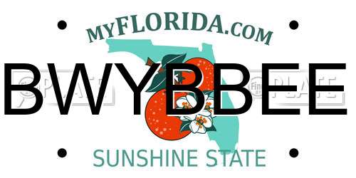 BWYBBEE Florida License Plate