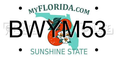 BWYM53 Florida License Plate