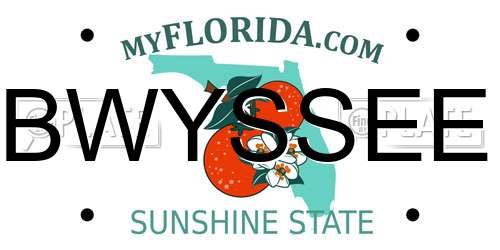 BWYSSEE Florida License Plate