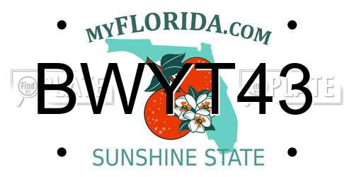 BWYT43 Florida License Plate