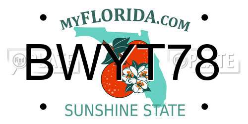BWYT78 Florida License Plate
