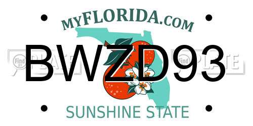 BWZD93 Florida License Plate