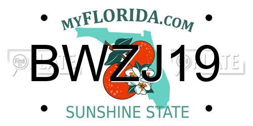 BWZJ19 Florida License Plate