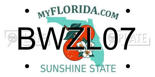 BWZL07 Florida License Plate