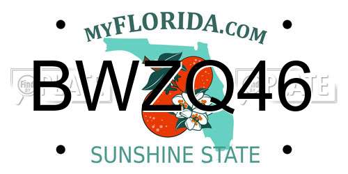 BWZQ46 Florida License Plate