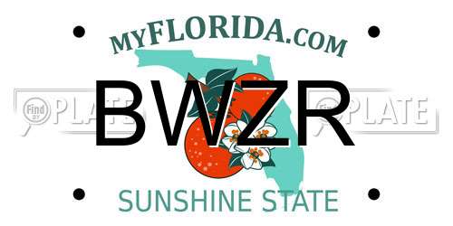 BWZR Florida License Plate