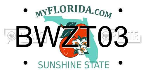 BWZT03 Florida License Plate