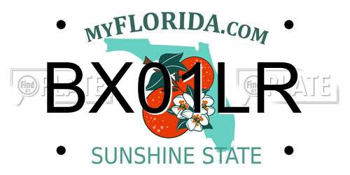 BX01LR Florida License Plate