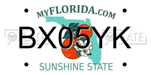 BX05YK Florida License Plate