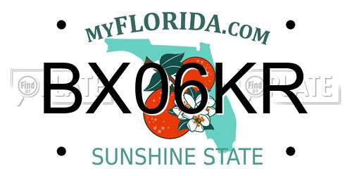 BX06KR Florida License Plate