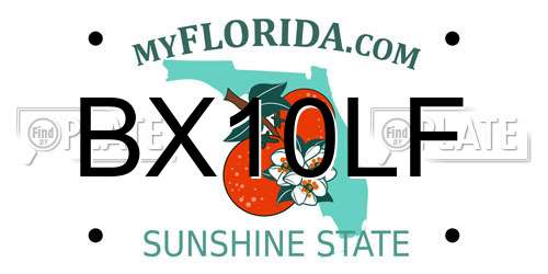 BX10LF Florida License Plate