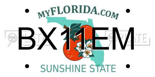 BX11EM Florida License Plate