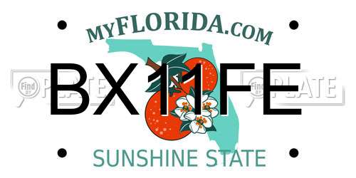 BX11FE Florida License Plate