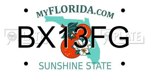 BX13FG Florida License Plate