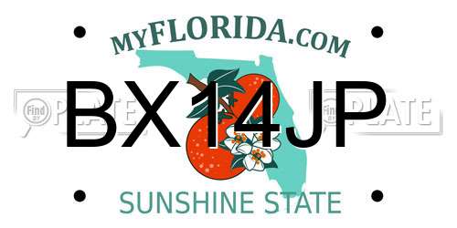 BX14JP Florida License Plate