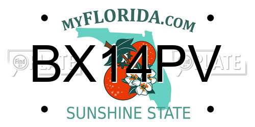 BX14PV Florida License Plate